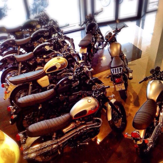 1904073_10152247126714264_730776578_n