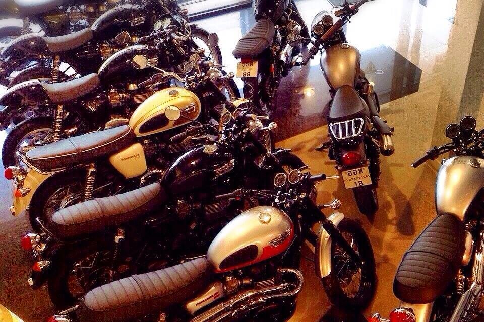 1904073_10152247126714264_730776578_n